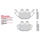 Bremsbeläge hinten Brembo SYM 300 QUADLANDER 2006 -  typ SD